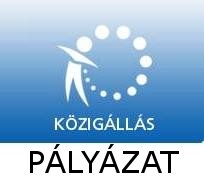 Pályázat igazgató ( magasabb vezetõ ) munkakör betöltésére.