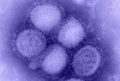 Sertsinfluenza: flni, vagy nem flni? 