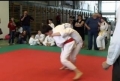 Judo bajnoksg kzel hatvan versenyzvel